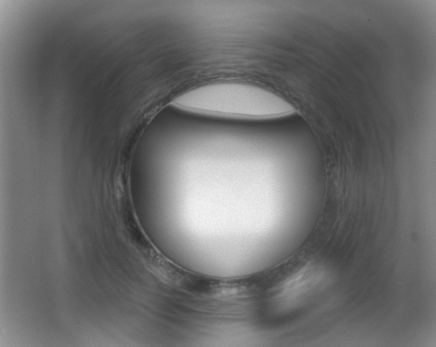 X0000066970746200603241018