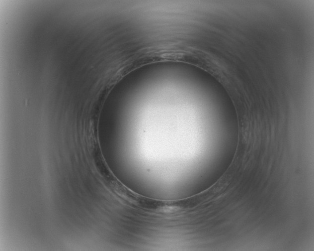 X0000066970748200603241018