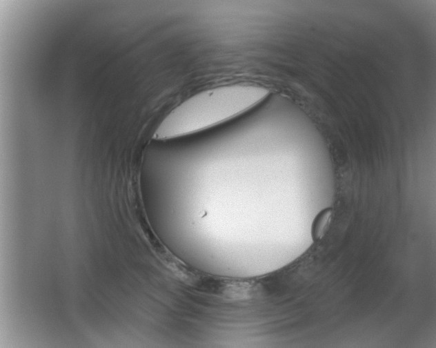 X0000066970757200603241019