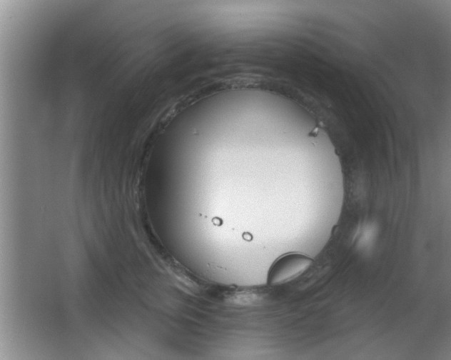 X0000066970759200603241019