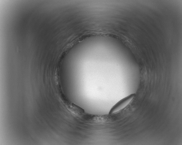 X0000066970764200603241019