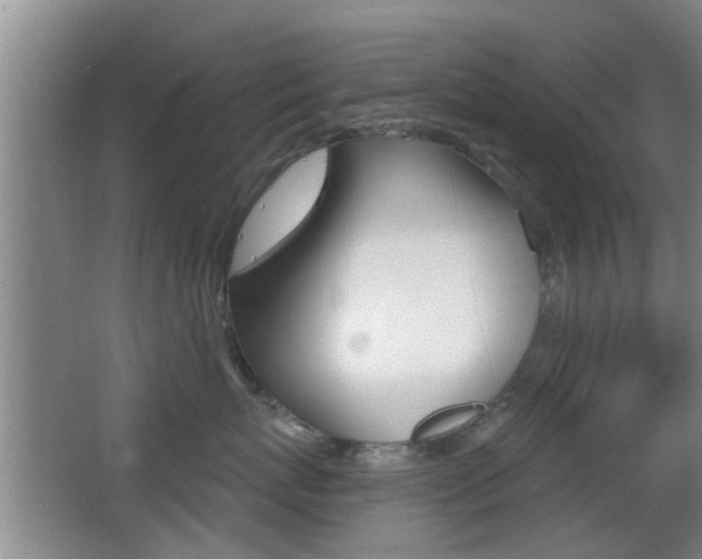 X0000066970767200603241019