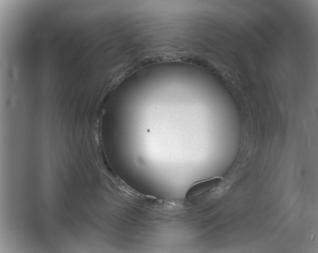 X0000066970768200603241019