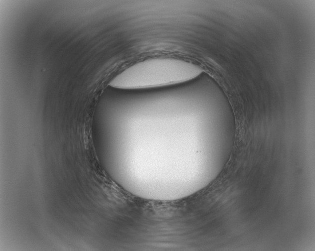 X0000066970774200603241018
