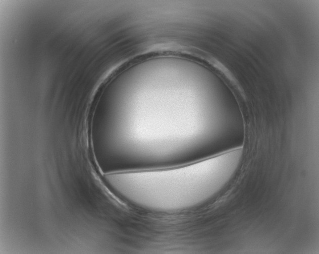 X0000066970791200603241018
