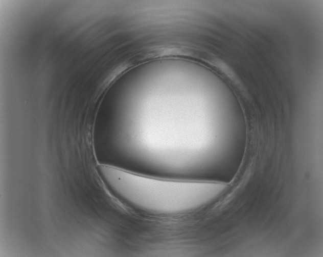 X0000066970793200603241017
