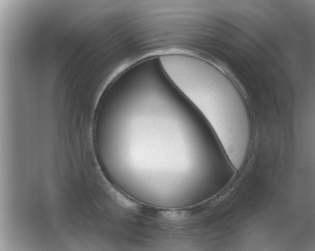 X0000066970805200603241017