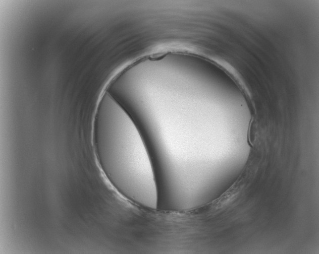 X0000066970815200603241017