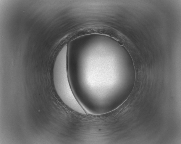 X0000066970822200603241016