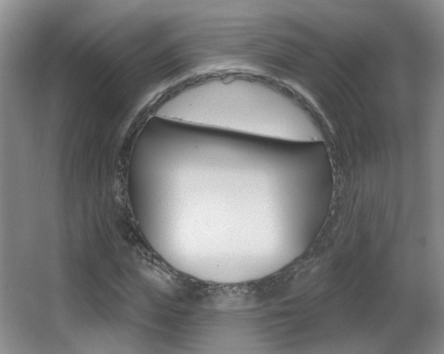 X0000066970823200603241016