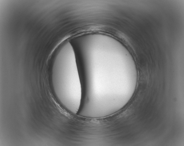 X0000066970827200603241016