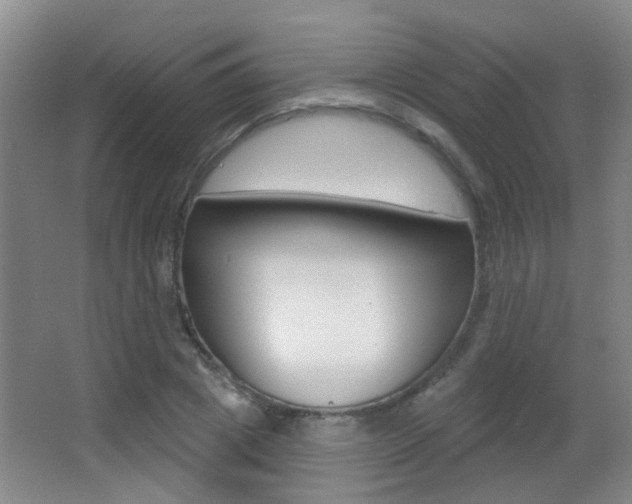 X0000066970833200603241017
