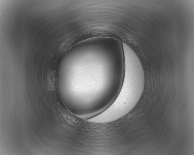 X0000066970868200603241016