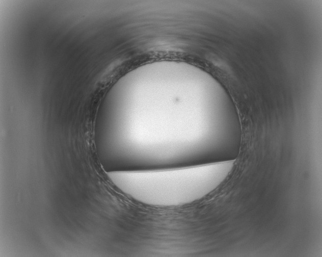 X0000066970870200603241016