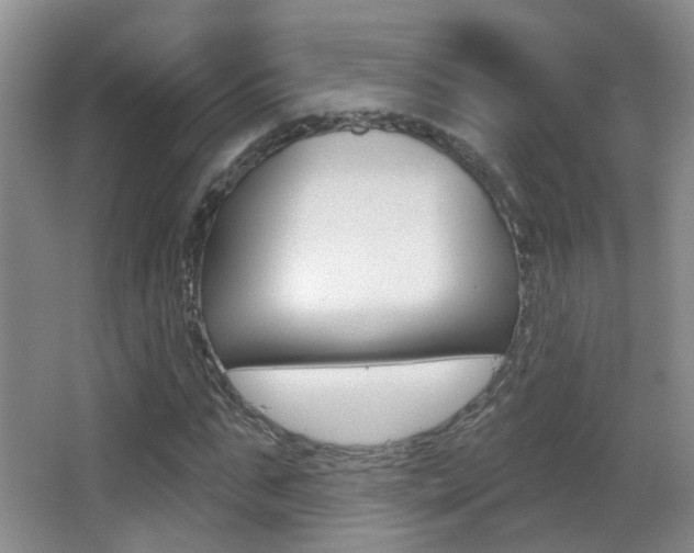 X0000066970871200603241016