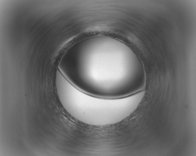 X0000066970872200603241016