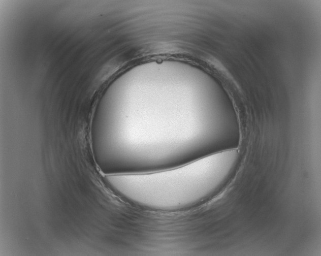 X0000066970873200603241016