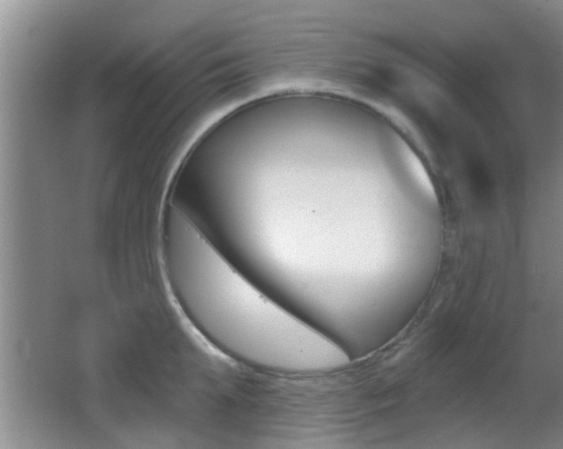 X0000066970903200603241016