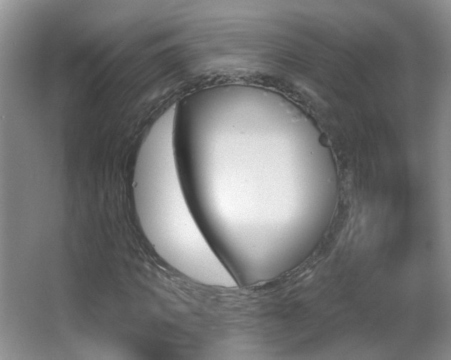 X0000066970917200603241015