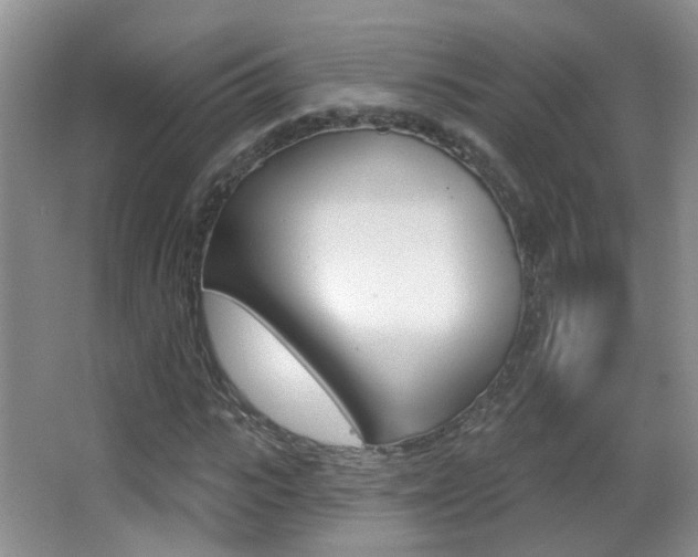 X0000066970919200603241015