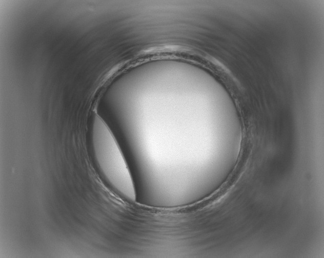 X0000066970921200603241015