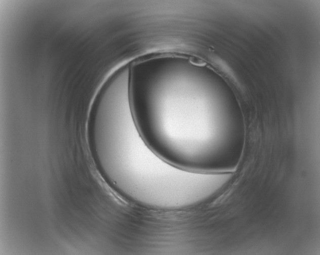 X0000066970932200603241015