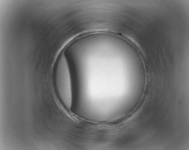 X0000066970933200603241015