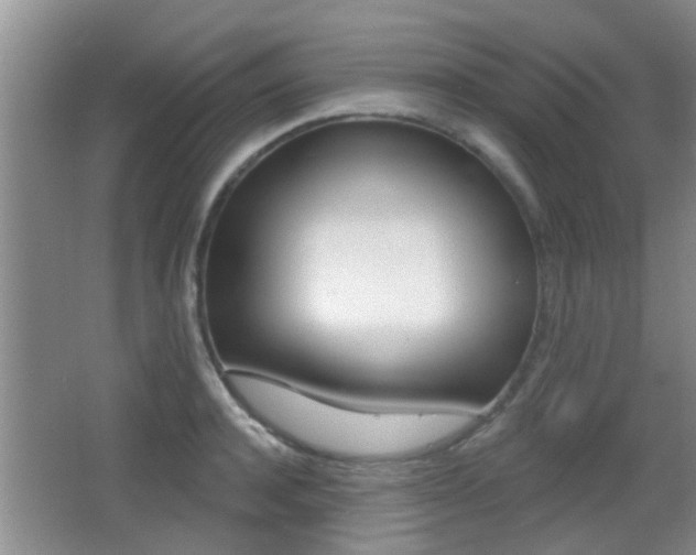 X0000066970944200603241015