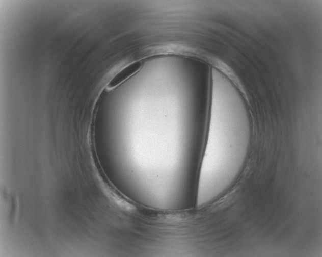 X0000066970946200603241015