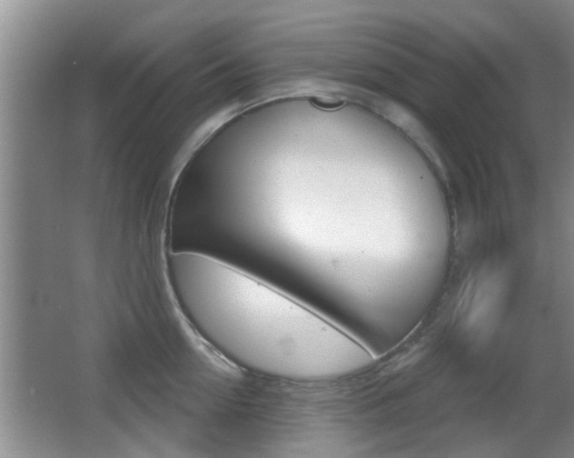 X0000066970954200603241015