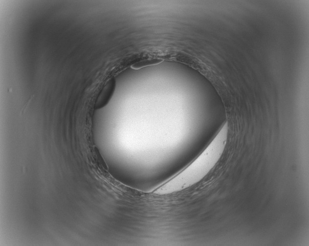 X0000066970961200603241015