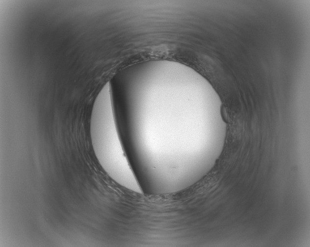 X0000066970962200603241015