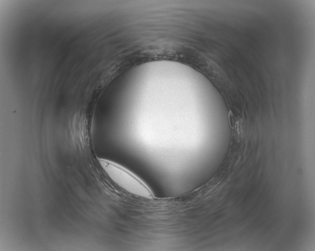 X0000066970963200603241015