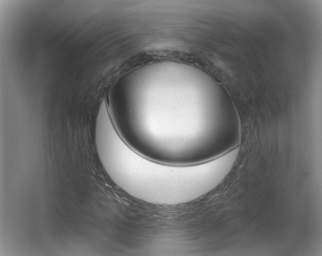 X0000066970965200603241015
