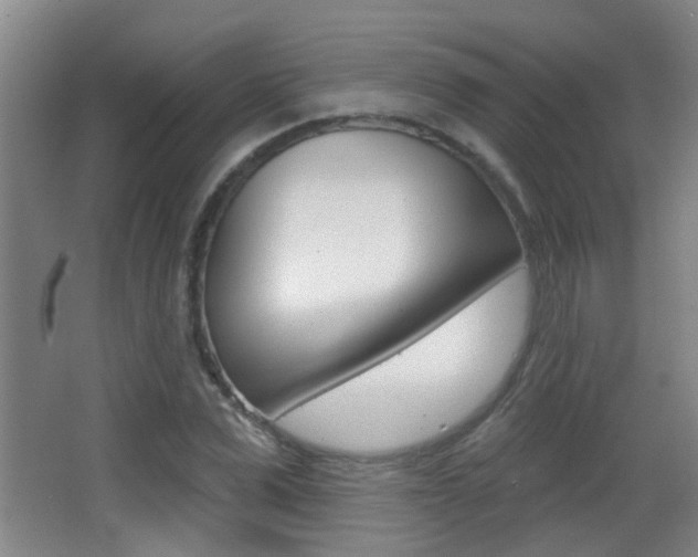 X0000066970975200603241014