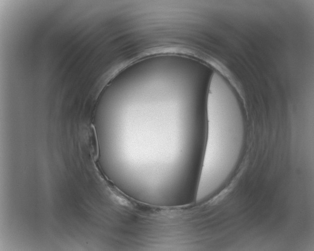 X0000066970993200603241014