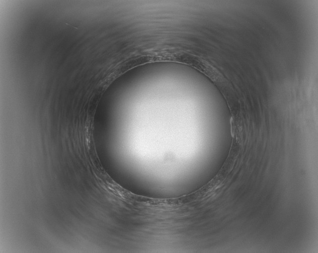 X0000066971010200603241013