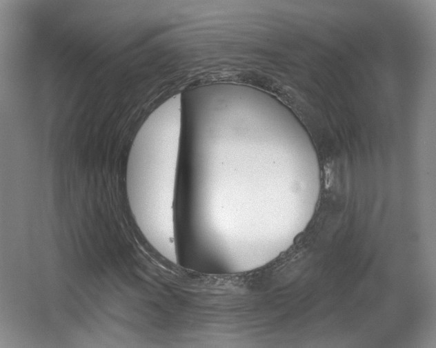 X0000066971011200603241013