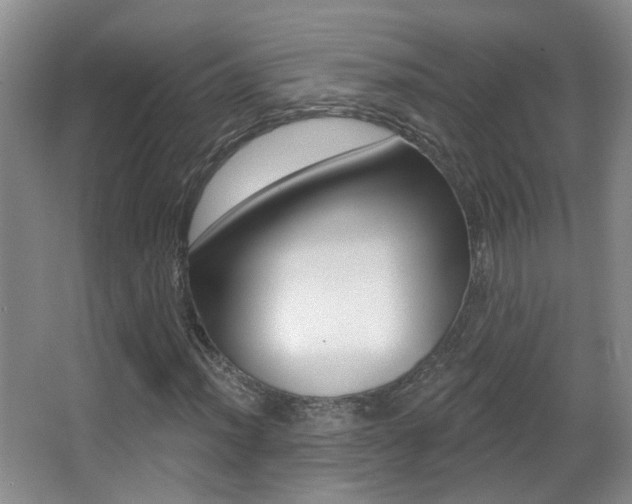 X0000066971012200603241013