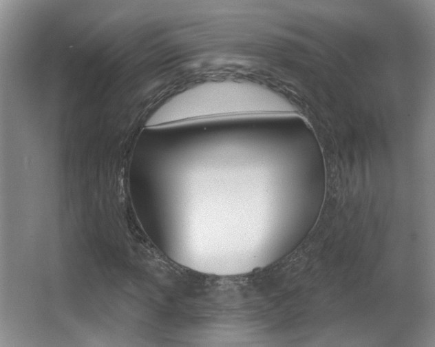 X0000066971013200603241013