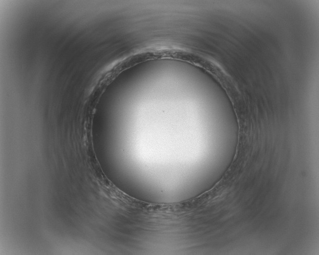 X0000066971016200603241013