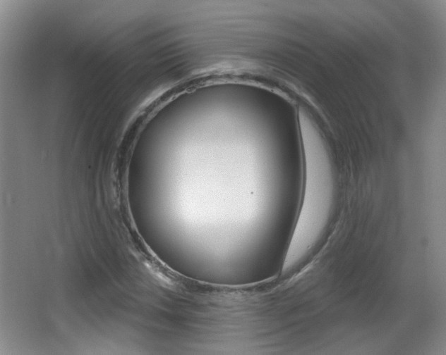 X0000066971018200603241013