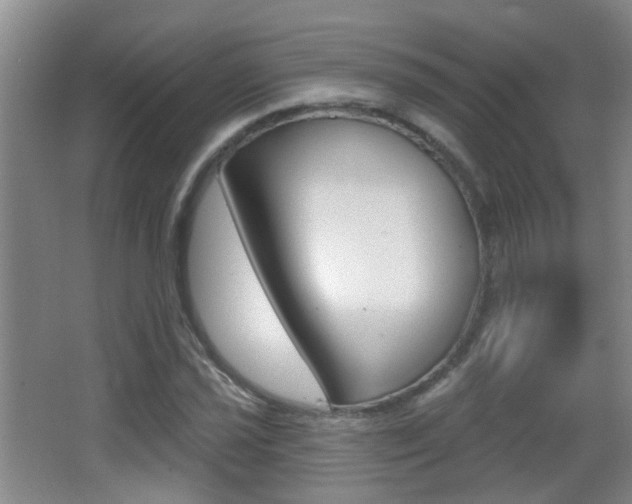 X0000066971021200603241013