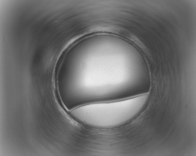 X0000066971028200603241013