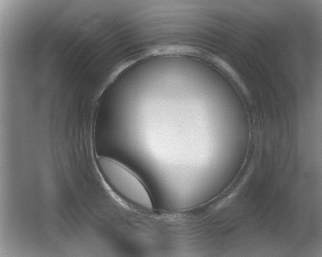 X0000066971041200603241014