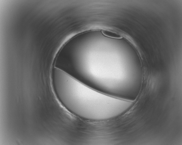 X0000066971048200603241014