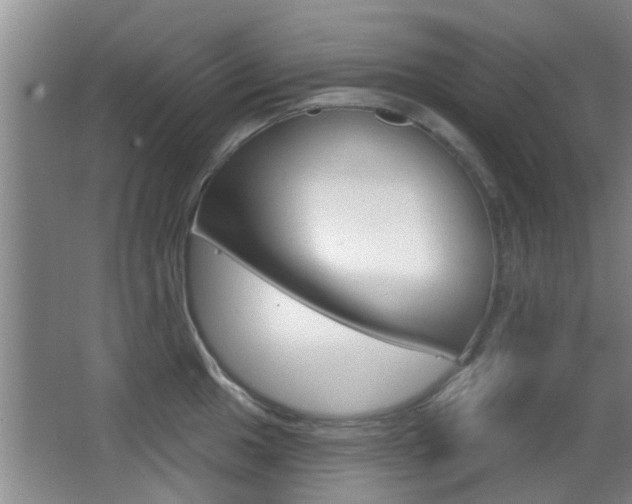 X0000066971049200603241014