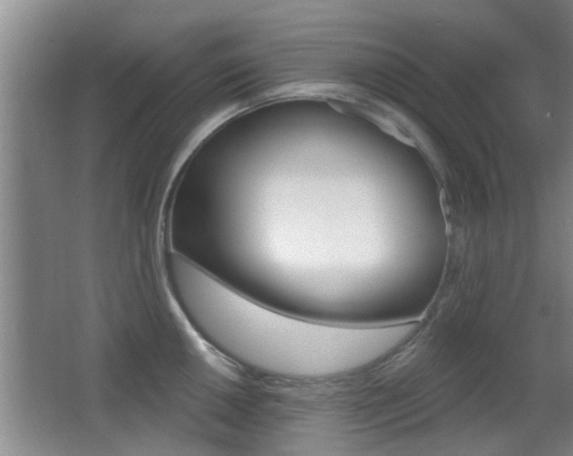 X0000066971050200603241014