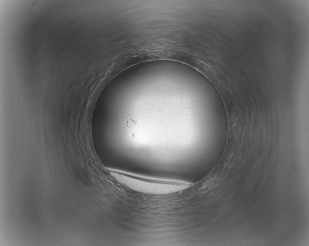 X0000066971057200603241013