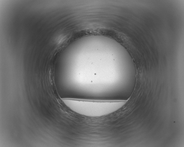 X0000066971060200603241013
